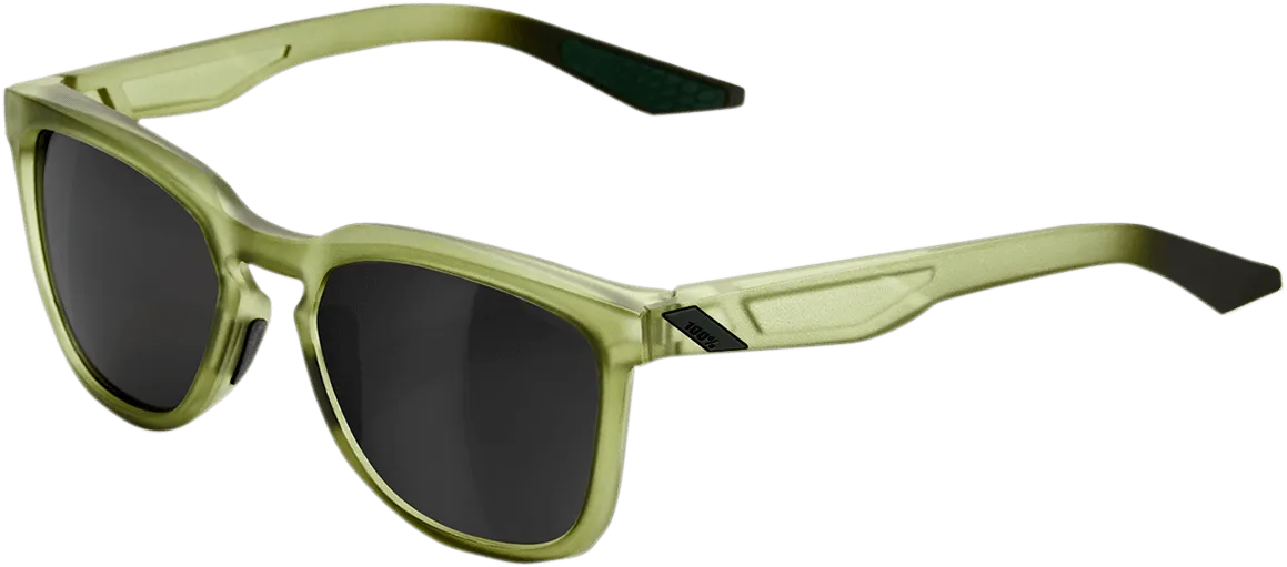 100% Hudson Sunglasses