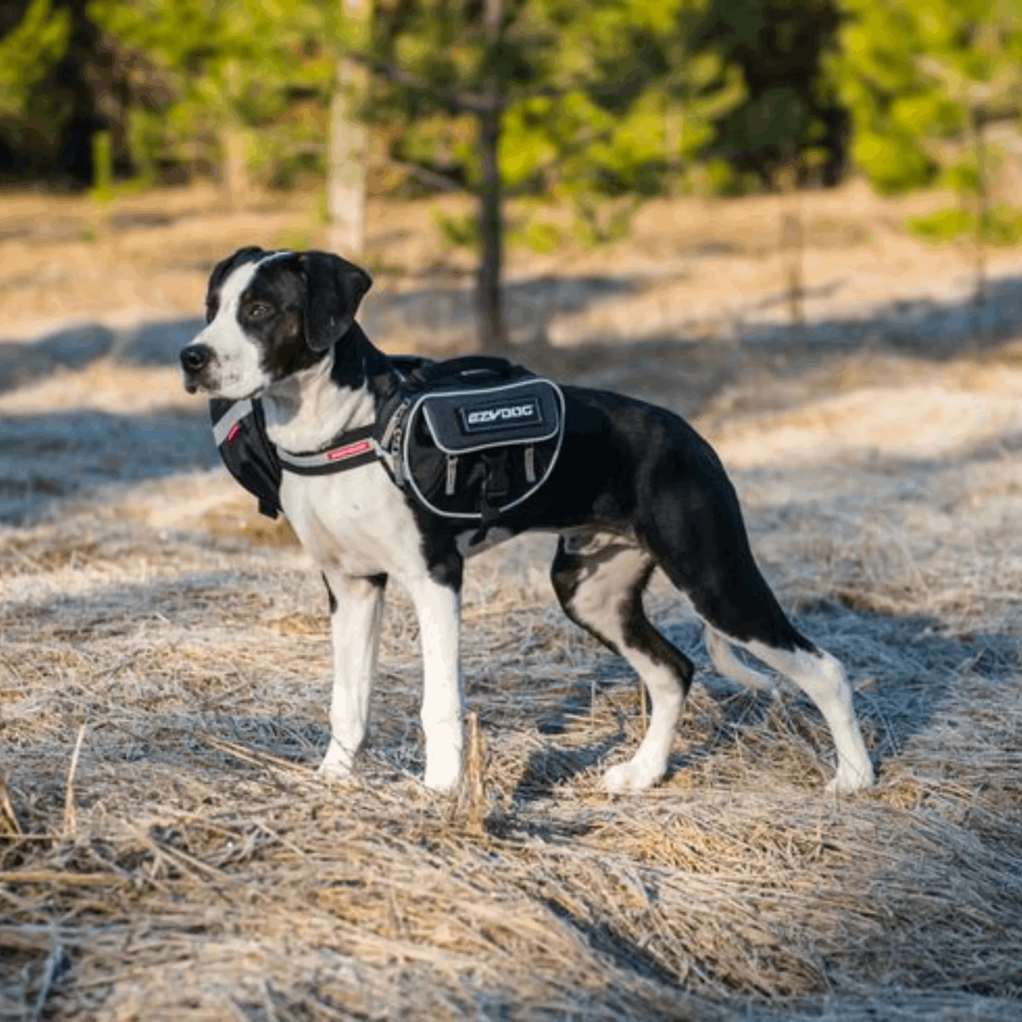 Convert Harness Saddle Bags