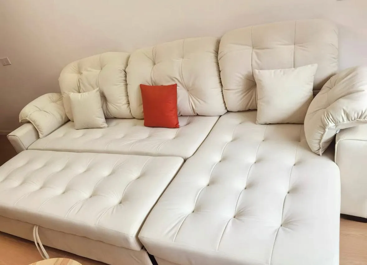 Craig Scratch Resistant Sofa Bed