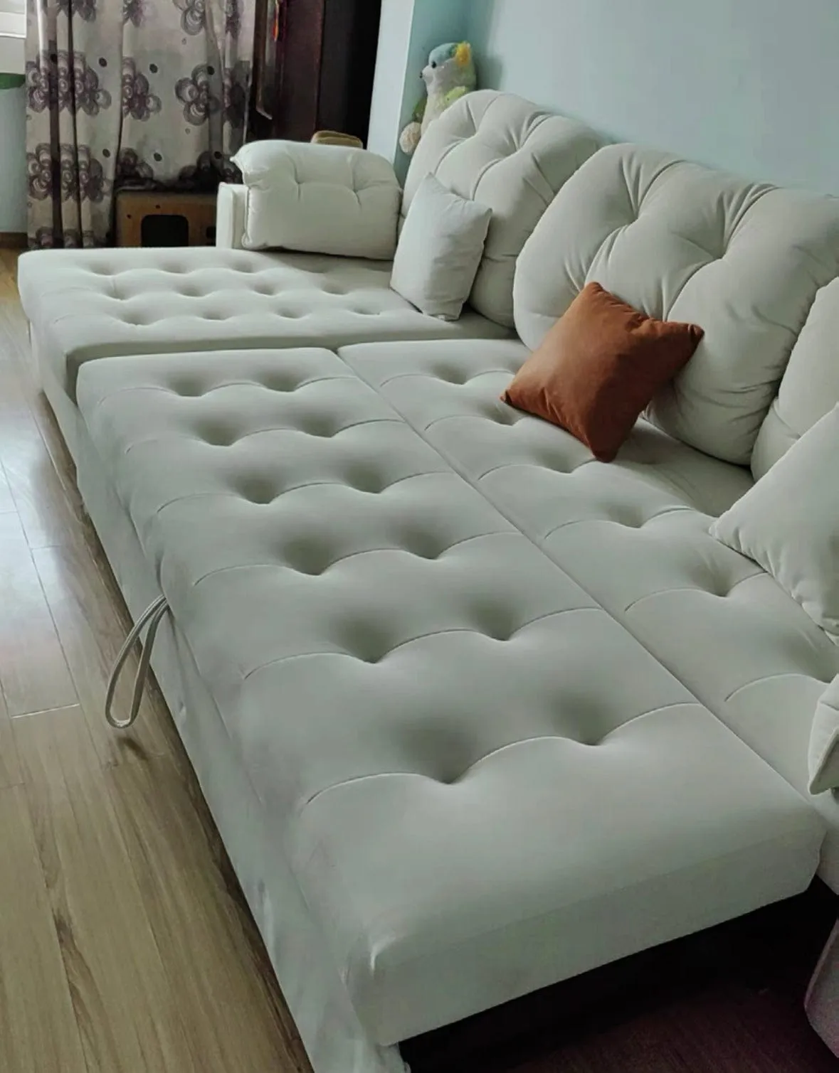 Craig Scratch Resistant Sofa Bed